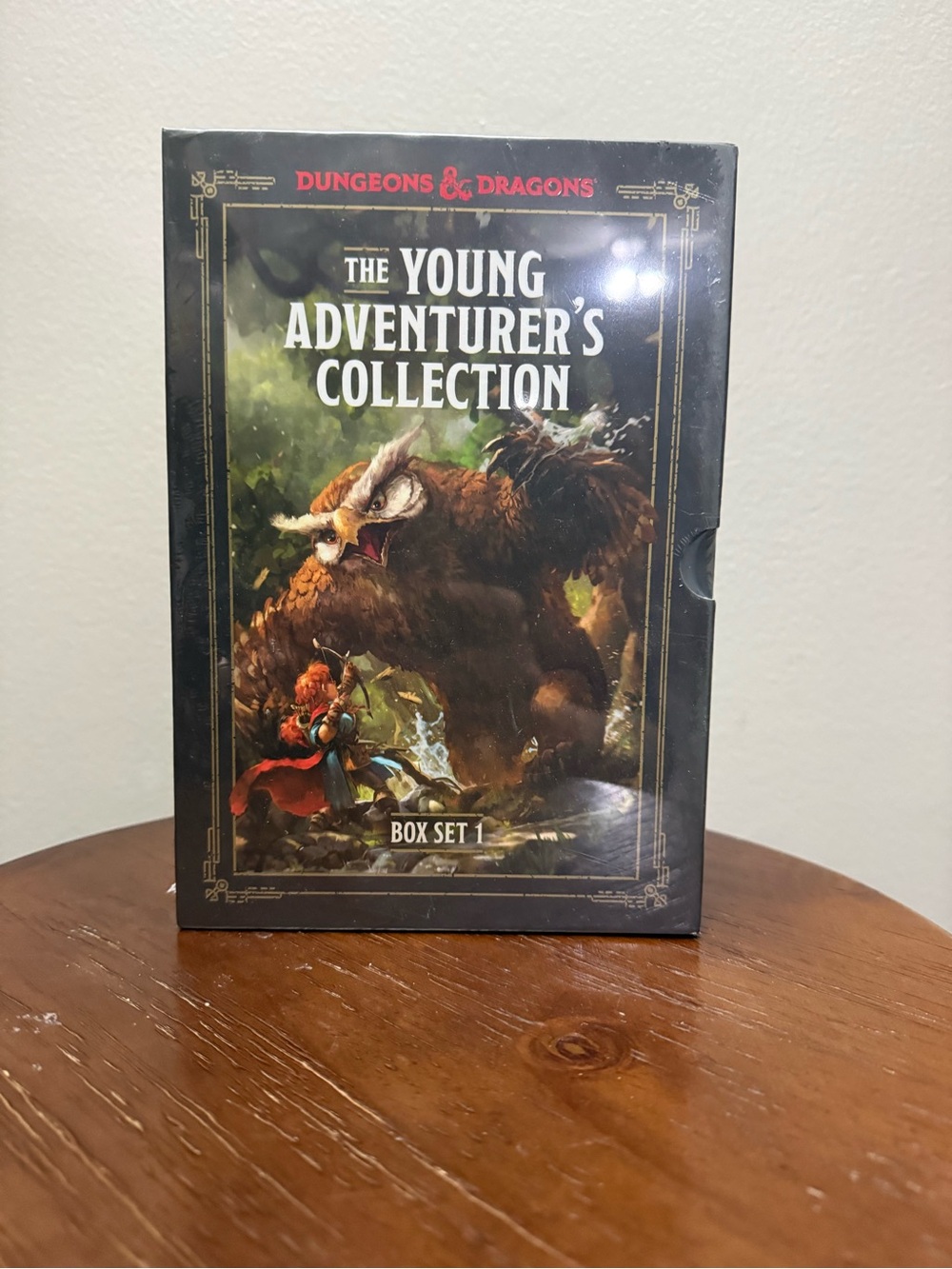 Dungeons & Dragons The Young Adventurer's Collection Box Set 1